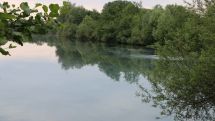 Blaualgen im Rathsee bei Delbrück-Bentfeld